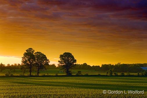 Sunrise Shadows_49634-5.jpg - Photographed near Carleton Place, Ontario, Canada.